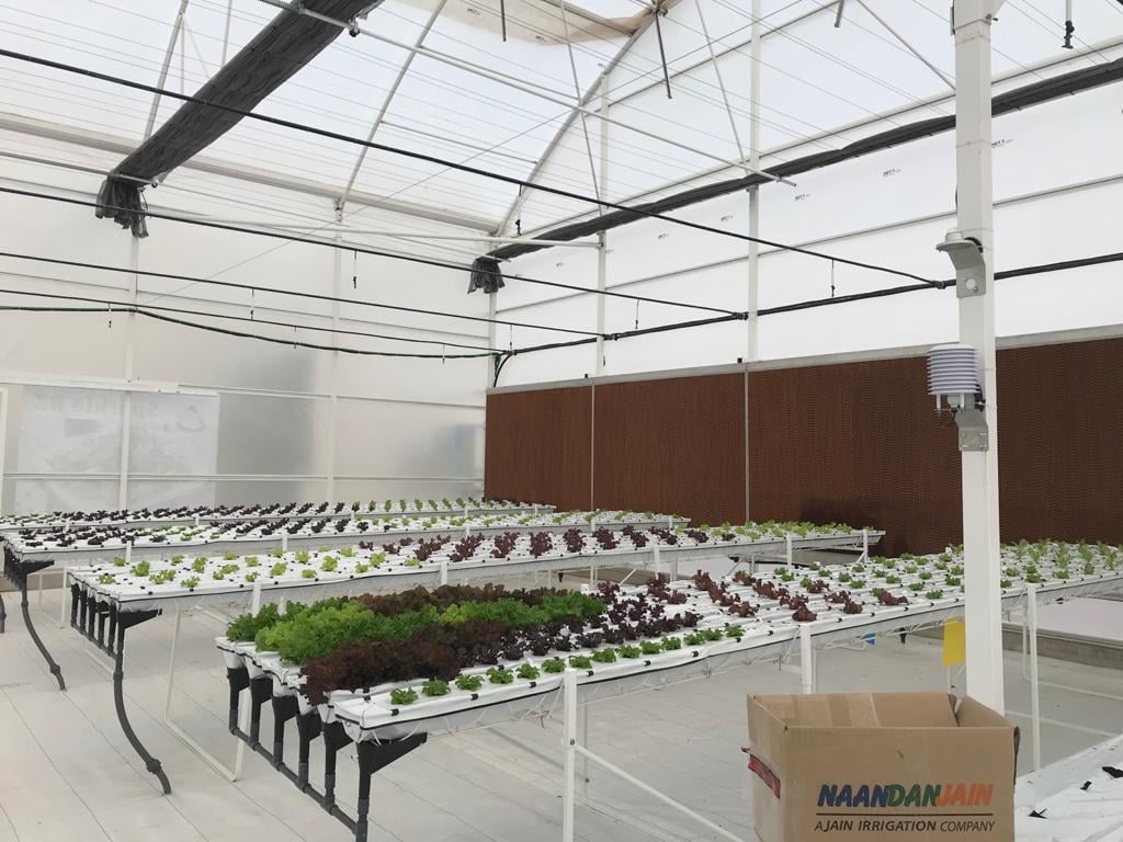 245942345_667457540902406_3293442720151252409_n