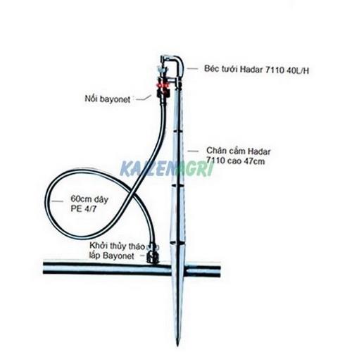 Bộ béc phun mưa  Hadar 7110 40 L/H