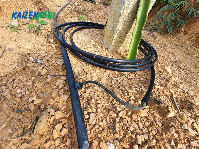 637566915593052379 a