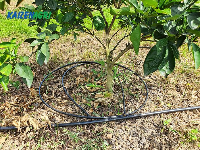 637566918533989754 a