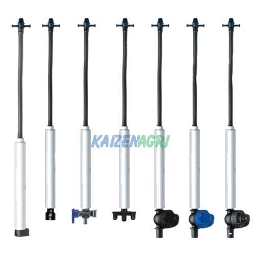 637568803396490036 a