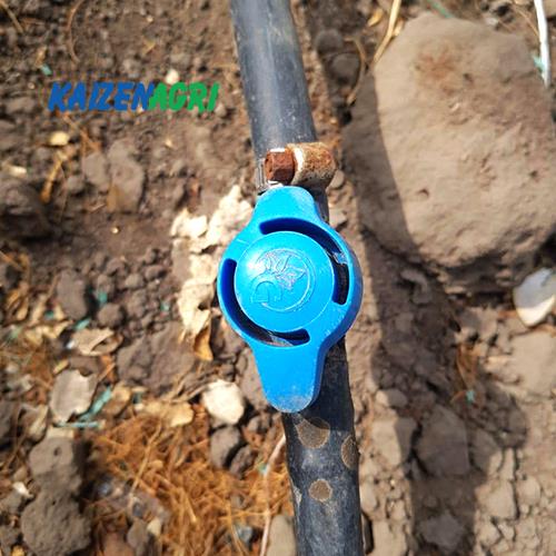 637568868326021110 a