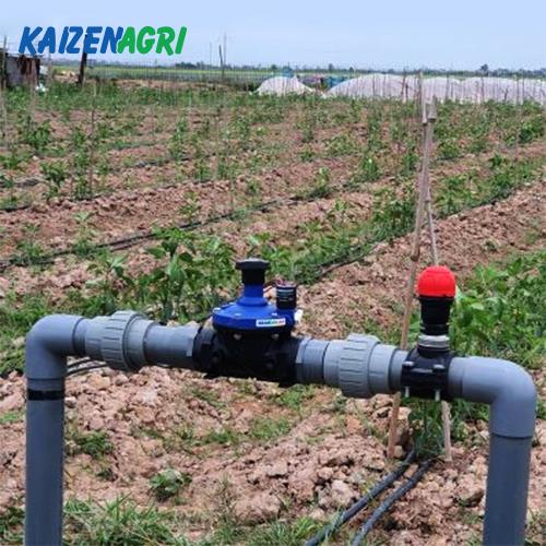 637569274516177283 a