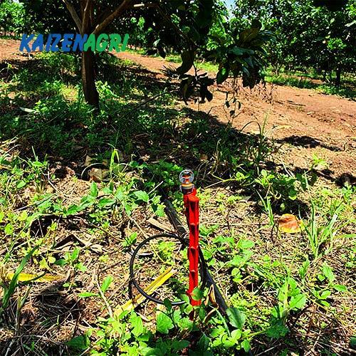 637569403991489724 a