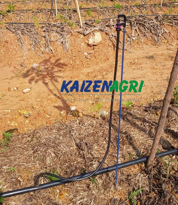 637585261287977359 a