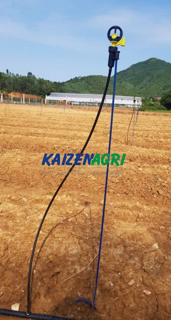 637585268509852609 a