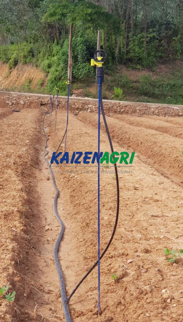 637585268517664917 a