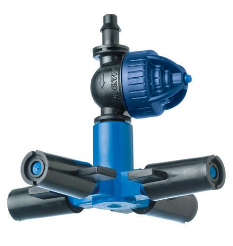 637585315524696189 a