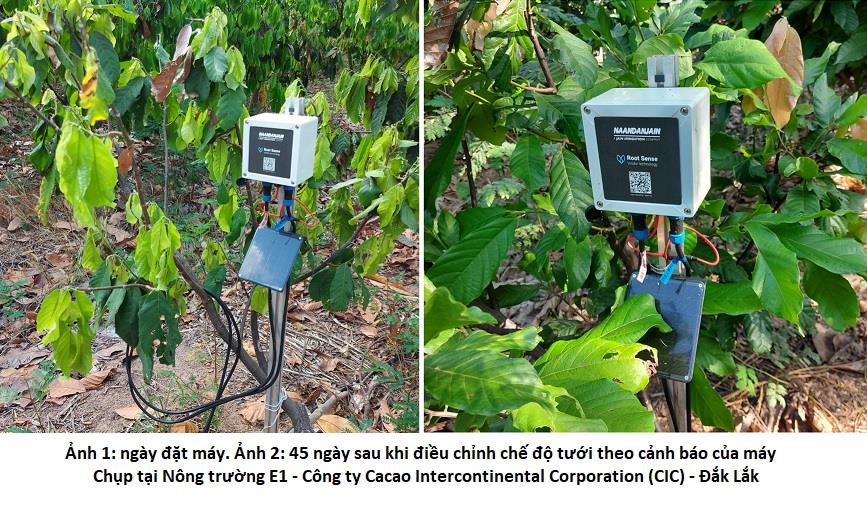 637654368958528486 a