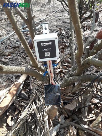 637654787466965637 a