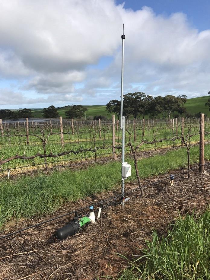 637672133357650683 a