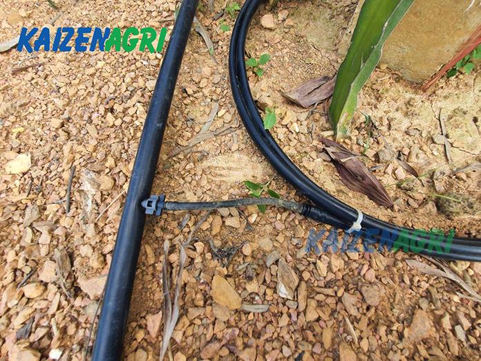 637845075955198599 a