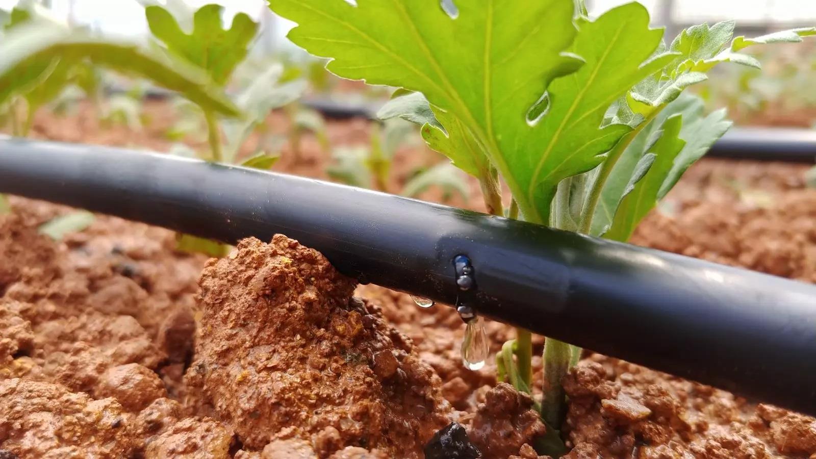 637974675904735658 a