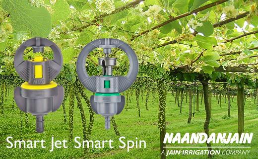 638055885458606247 a