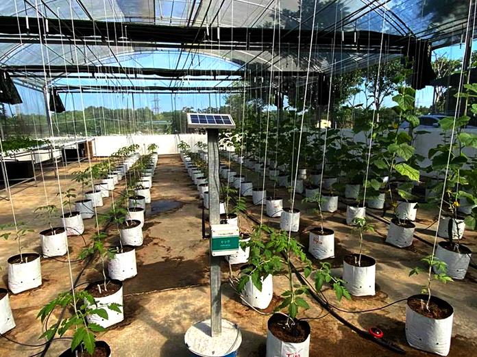 Tưới tự động thông minh tại Đại Học Nông Lâm Thái Nguyên